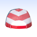 PRINTED MESH TRUCKER CAP